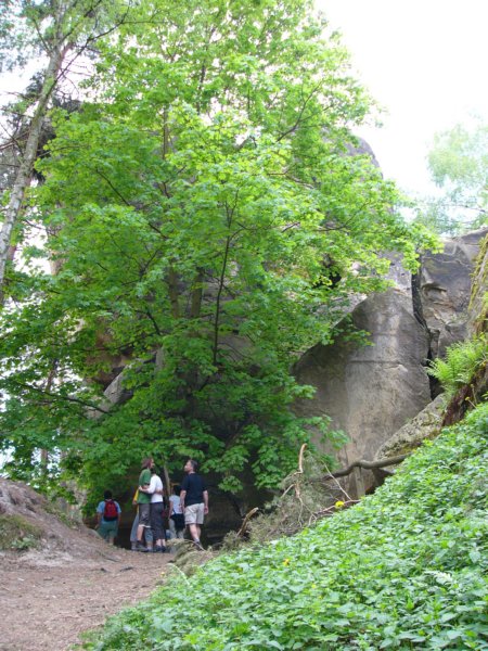 Photograph